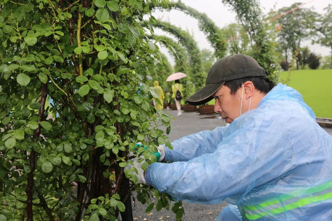 他获得这个荣誉称号！在平凡岗位上创造不平凡的佳绩！