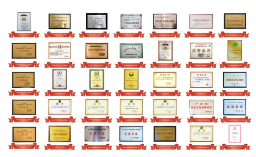 广州市粮食集团有限责任公司（岭南穗粮） 斩获多项国 家级、省级荣誉