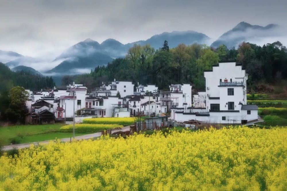 重奖征集｜最美乡村——婺源全国摄影大赛！一起用镜头记录这水墨江南！