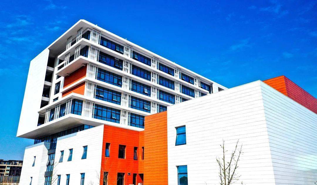 这份荣誉证书,最美!