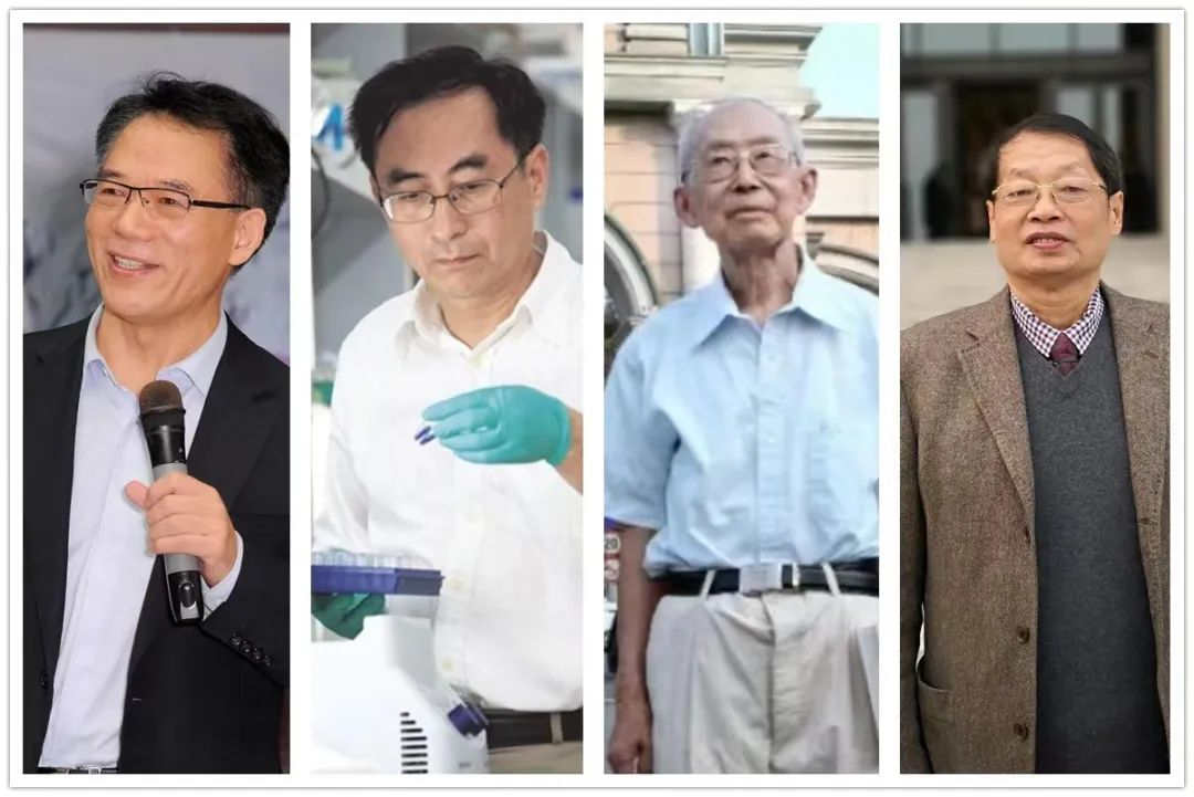 今年，这四位老师获厦大最高荣誉！