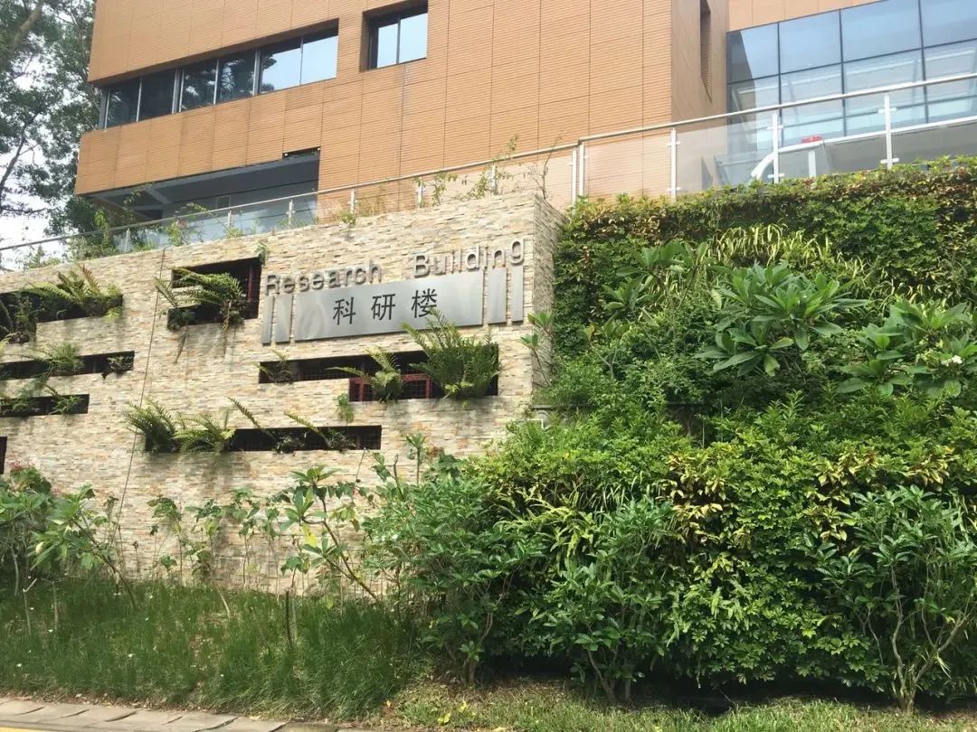 喜报！喜报！仙湖植物园斩获国家级荣誉