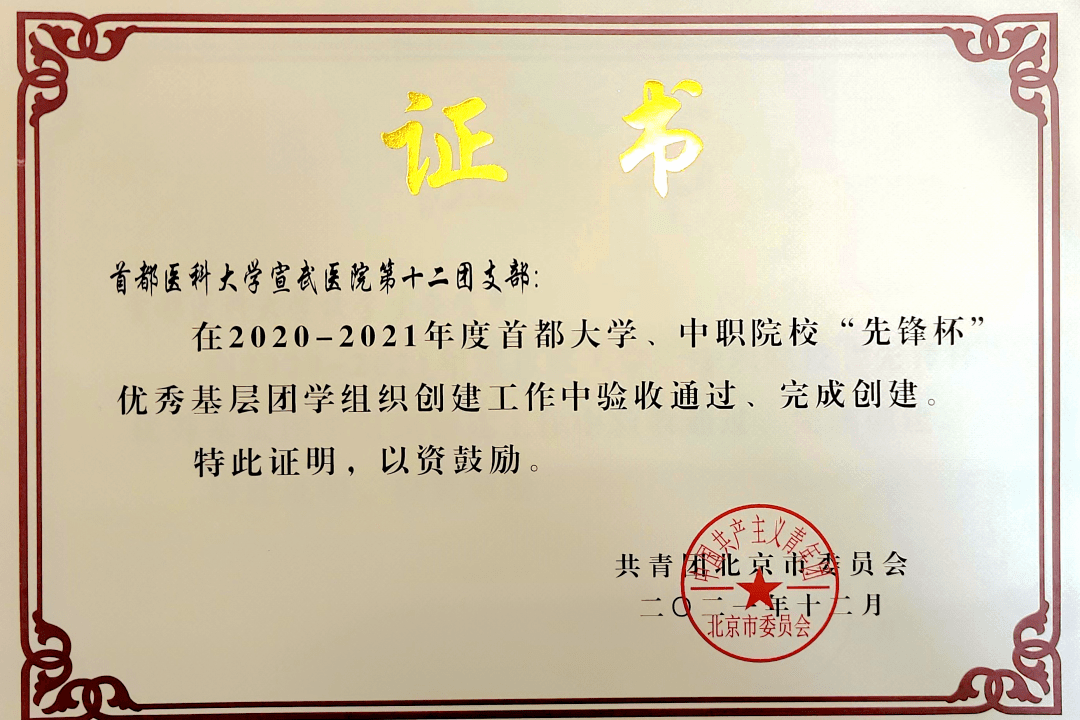 我院团青工作荣获市级、区级荣誉