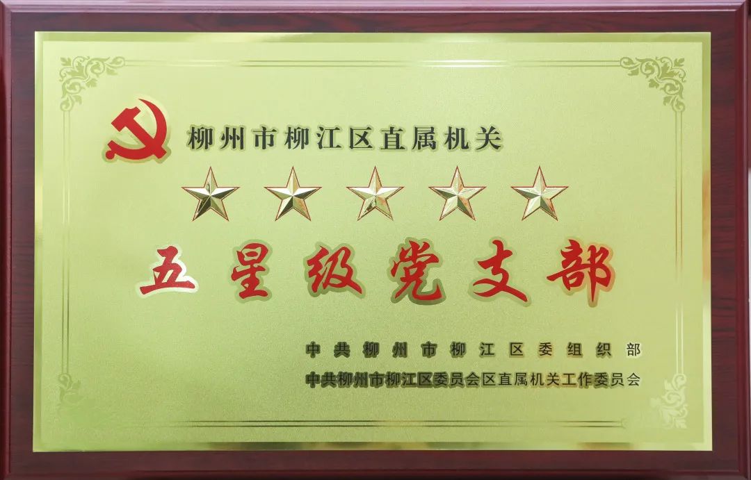 柳江区人民法院审判庭第一支部荣获“五星级党支部”称号！