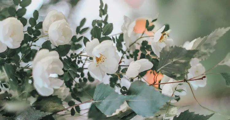 最高奖金5000元！“最美瞬间·我的文明城市”摄影大赛征稿啦！