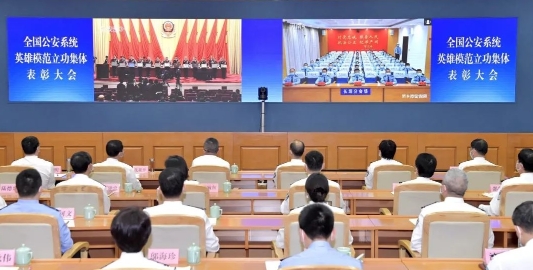 浙江35个集体54名个人获国字号荣誉！