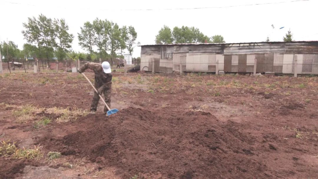 铁力镇山头村村民宋俊虎喜获“卫生星”荣誉称号