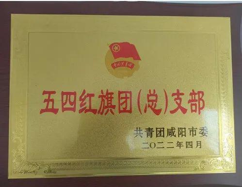 长武局荣获“五四红旗团支部”荣耀称号