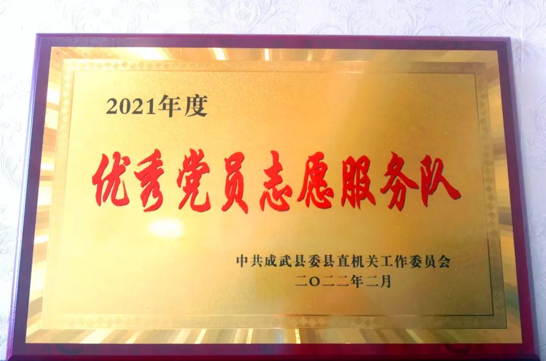 党员先行树先锋 志愿服务立新功——成武县司法局荣获“优秀党员志愿服务队”称号