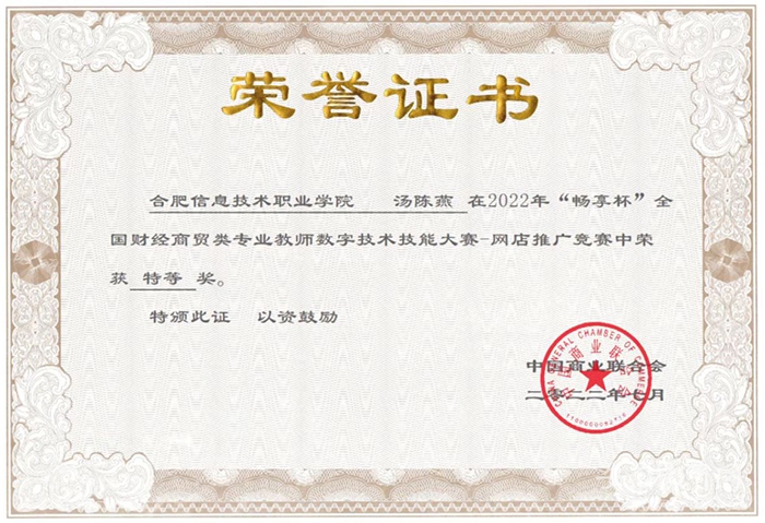 全国财经商贸类专业教师数字技术技能大赛 合肥信息技术职业学院教师获特等奖