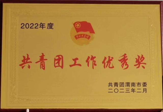喜报来啦——大荔团县委获得“2022年度共青团工作优秀奖”荣誉称号
