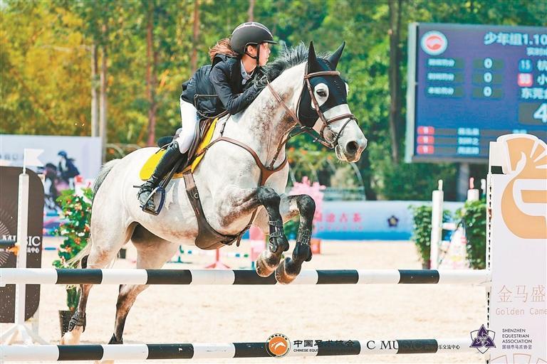 深圳首办国家级马术高水平大赛