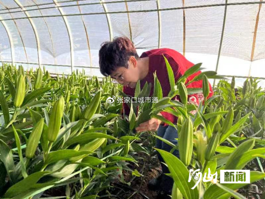 孙喜玲获全国三八红旗手称号