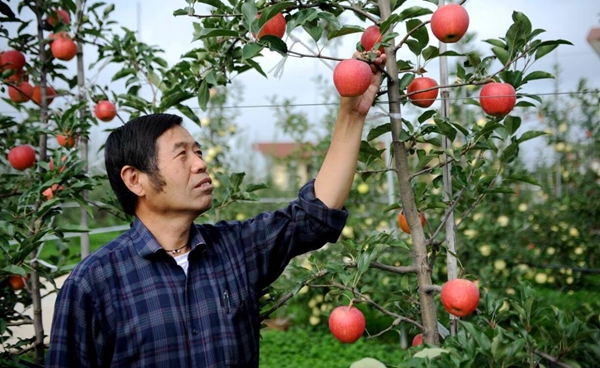 我校李丙智教授荣获“陕西好人”荣誉称号