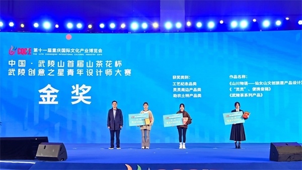 以文化为引领 武陵创意之星青年设计师大赛颁奖