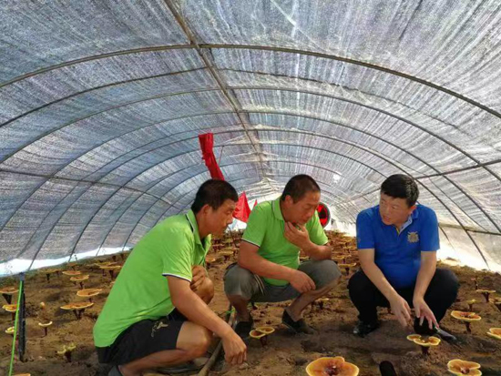 “他，获得荣誉称号一点也不亏！”——记黑龙江坤健农业股份有限公司董事长祝嗣臣