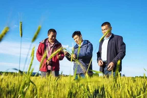 潍坊市一人荣获“全国农业农村劳动模范”称号