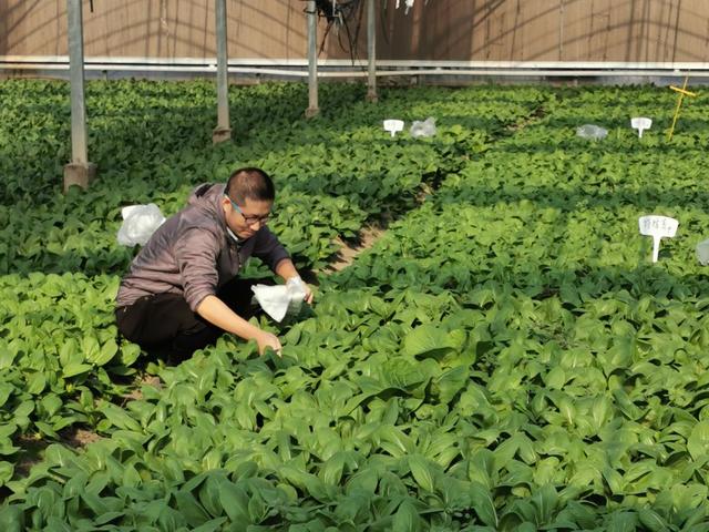 宝山的他荣获全国农业农村先进工作者称号