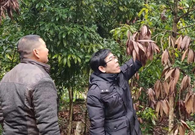 南平1人获全国“最美森林医生”称号