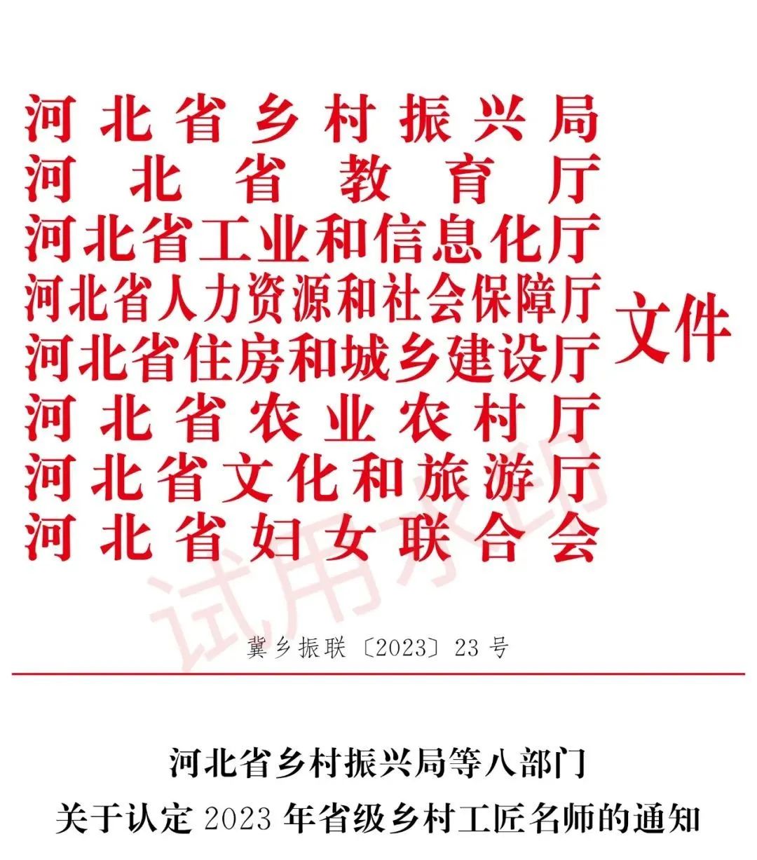 点赞！大名1人荣获省级乡村工匠名师称号