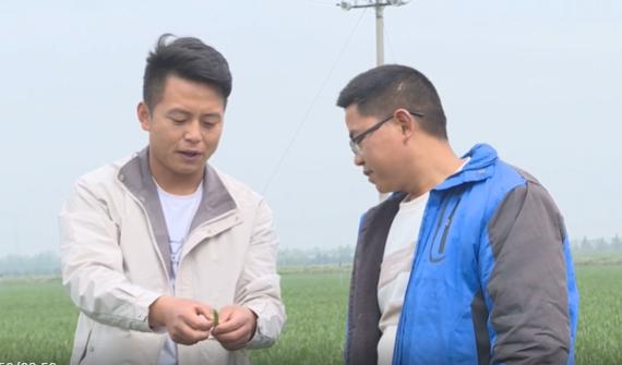 宝鸡青年齐昆获第二届全国乡村振兴青年先锋称号