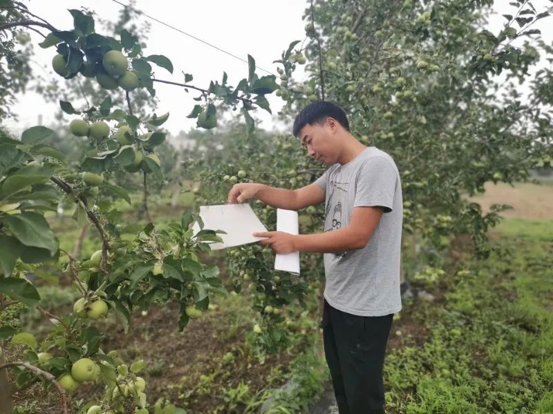 渭南张伯虎获全国乡村振兴青年先锋称号