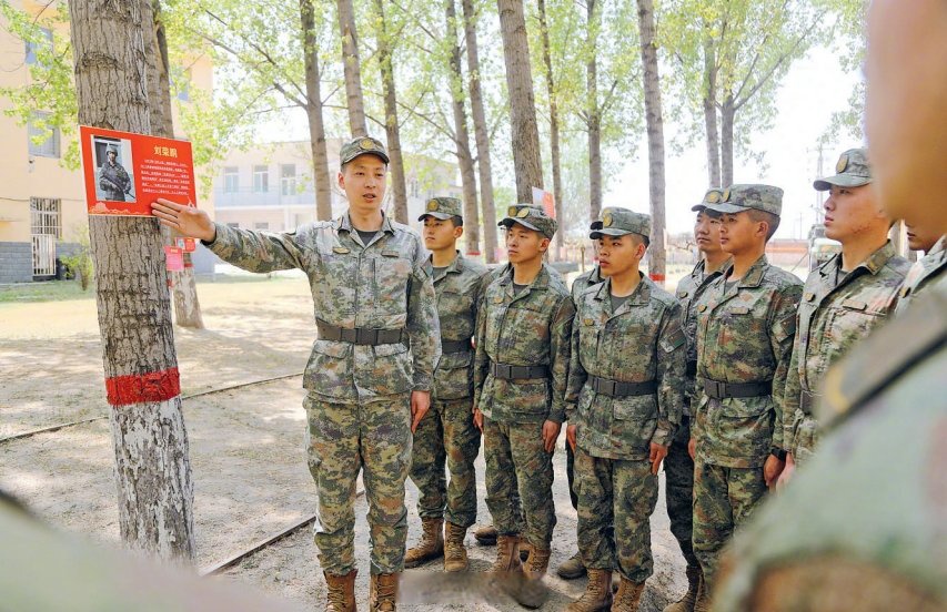 荣誉成“林”，砺气成“势”