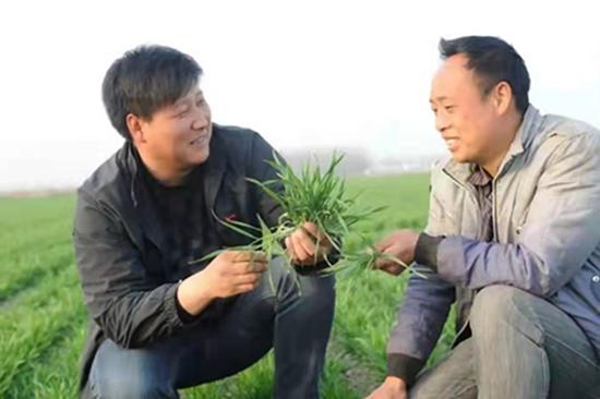 驻马店市正阳县80后农业追梦人黄磊获全国“十佳农民”荣誉称号